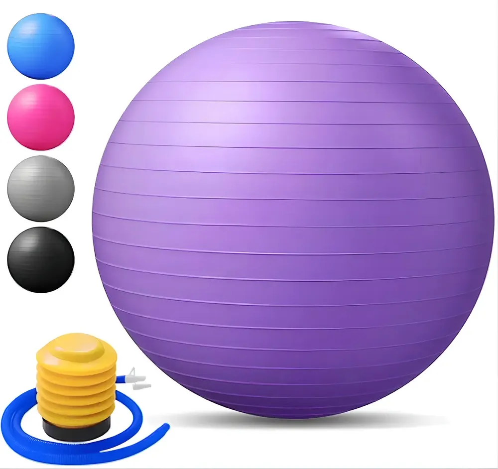 Bola Suíça Justgofit Fitball 65 cm Antiestouro com Bomba